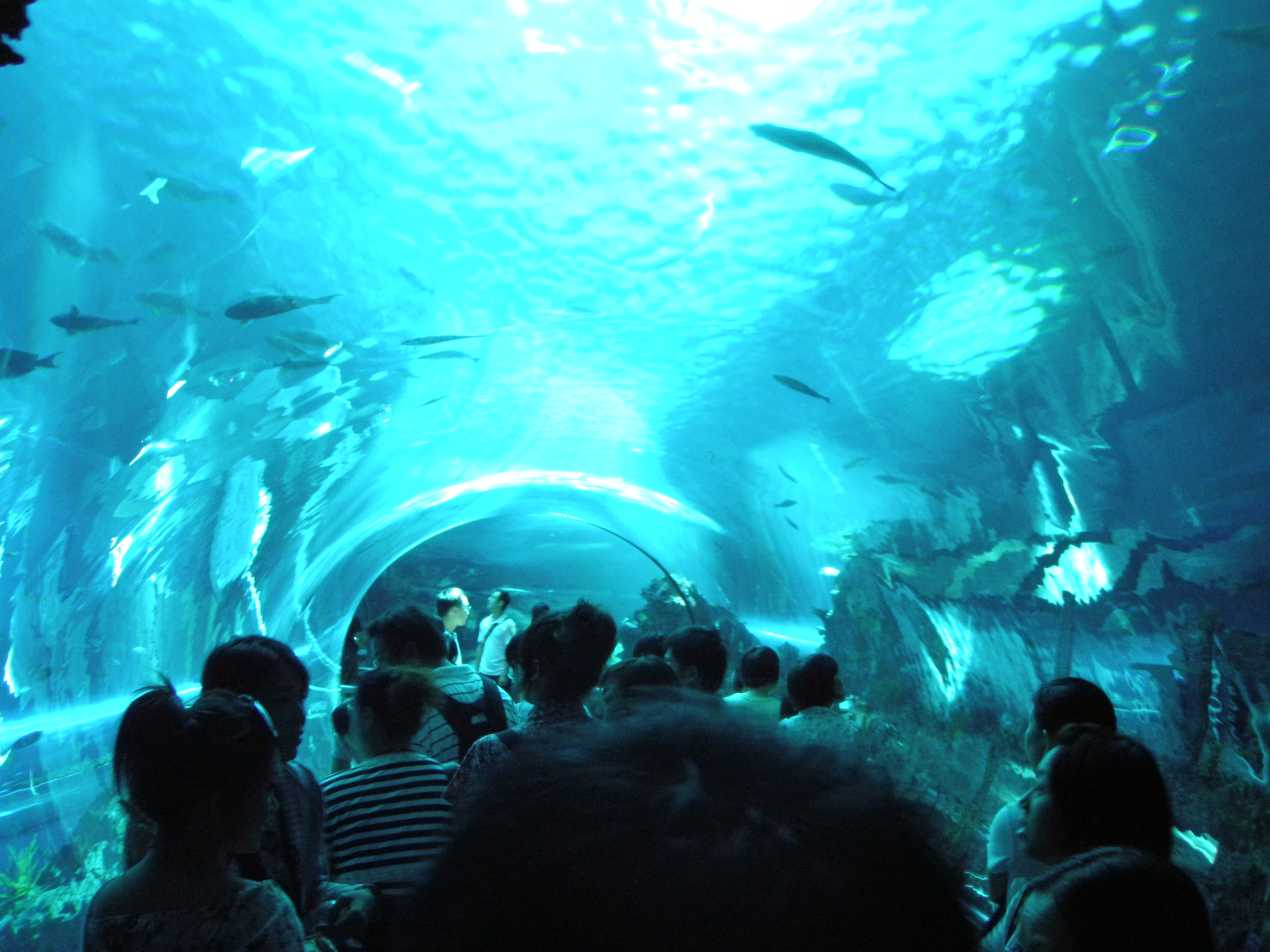 Aquarium tunnel